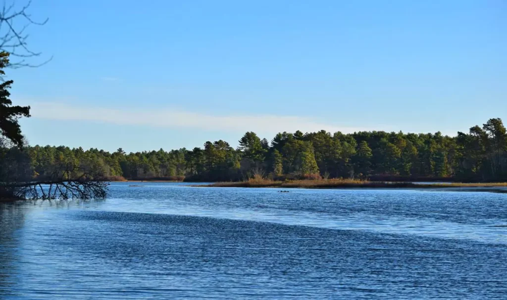 Fishing and boating in Myles Standish State Forest