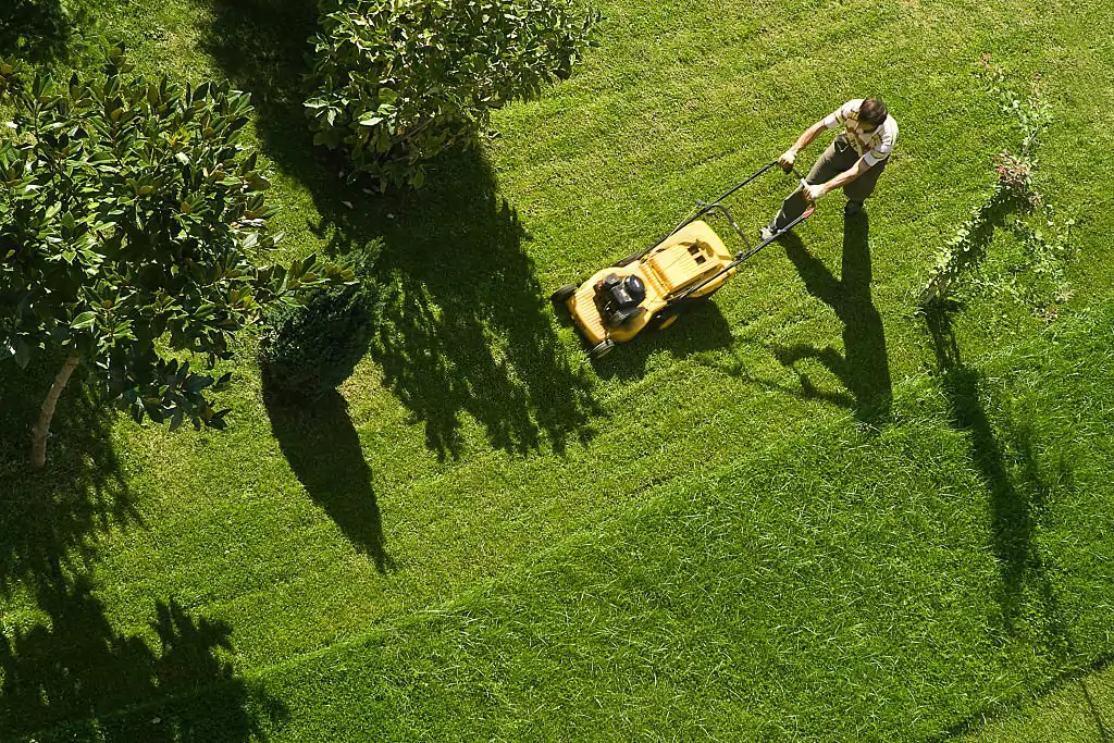 Who Has The Absolute Advantage In The Lawn Care Business